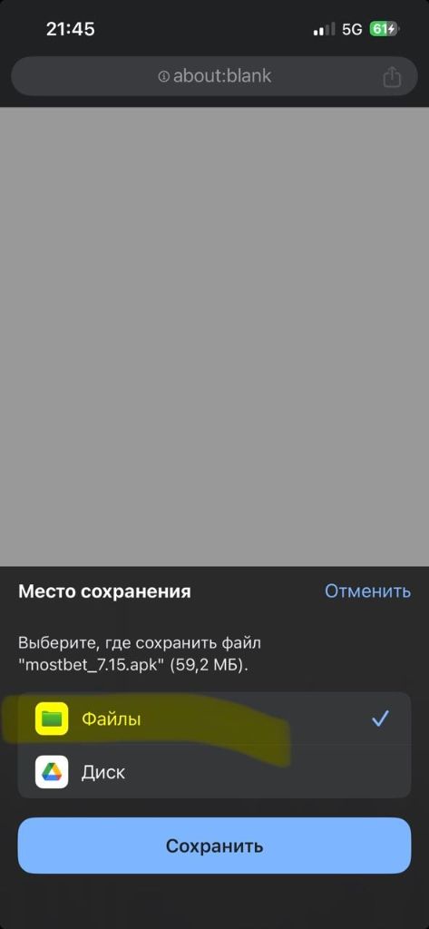 Сохранение установочного файла на iPhone: выбор папки Файлы в качестве места хранения